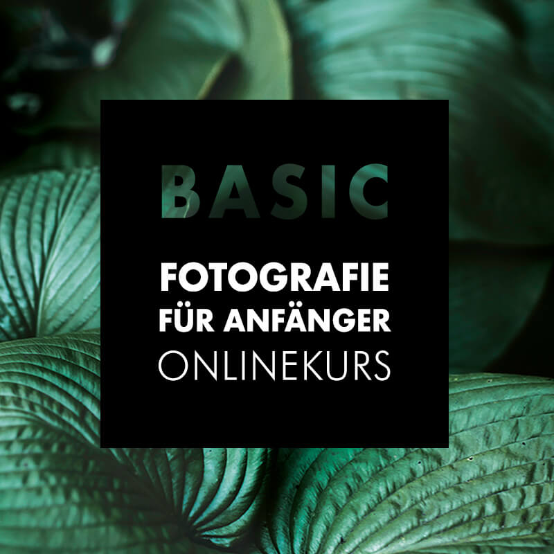 Basic Kurs
